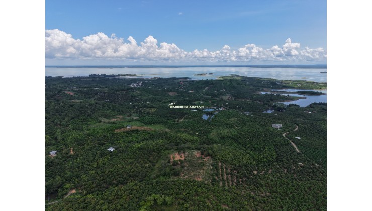 ĐẤT VIEW ĐỒI – VIEW HỒ TRỊ AN – SÔNG LA NGÀ | LA NGÀ, ĐỊNH QUÁN, ĐỒNG NAI